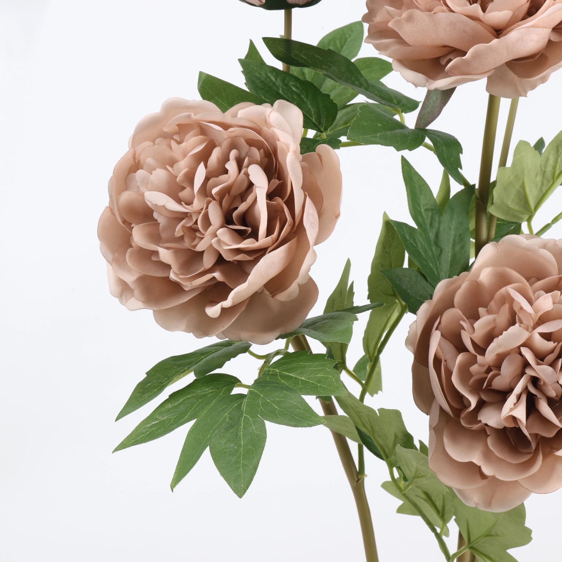 Tige de Pivoine Artificielle 74 cm, Grande Fleur au Toucher Réel, Tons d'Automne pour Vase, Décoration de Mariage, Composition Florale