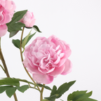 Tige de Pivoine Artificielle 74 cm, Grande Fleur au Toucher Réel, Tons d'Automne pour Vase, Décoration de Mariage, Composition Florale