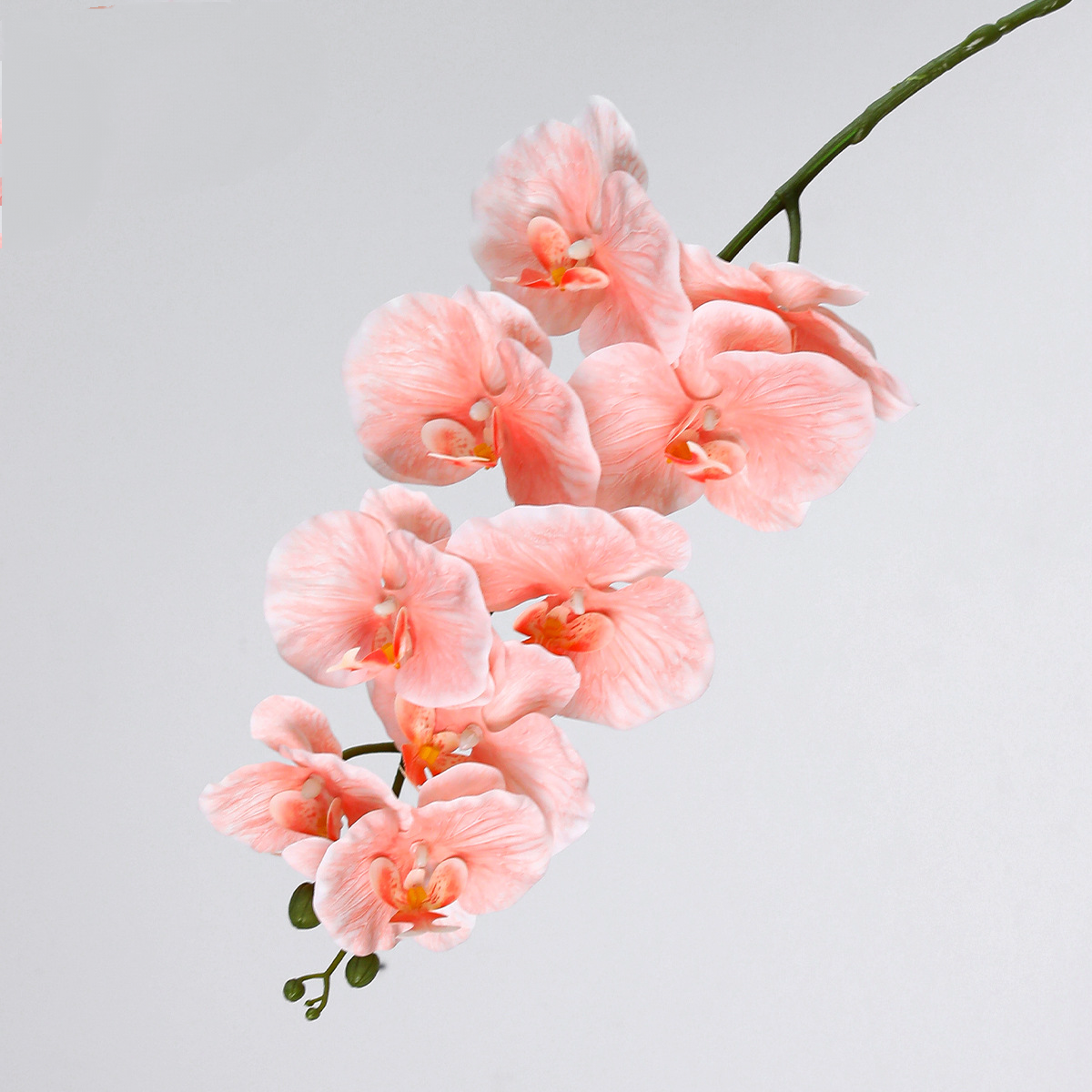 Lot de 2 Orchidées Phalaenopsis Artificielles 102cm, Grandes Tiges Florales au Toucher Réel, Décoration Vintage pour Vase, Intérieur, Mariage
