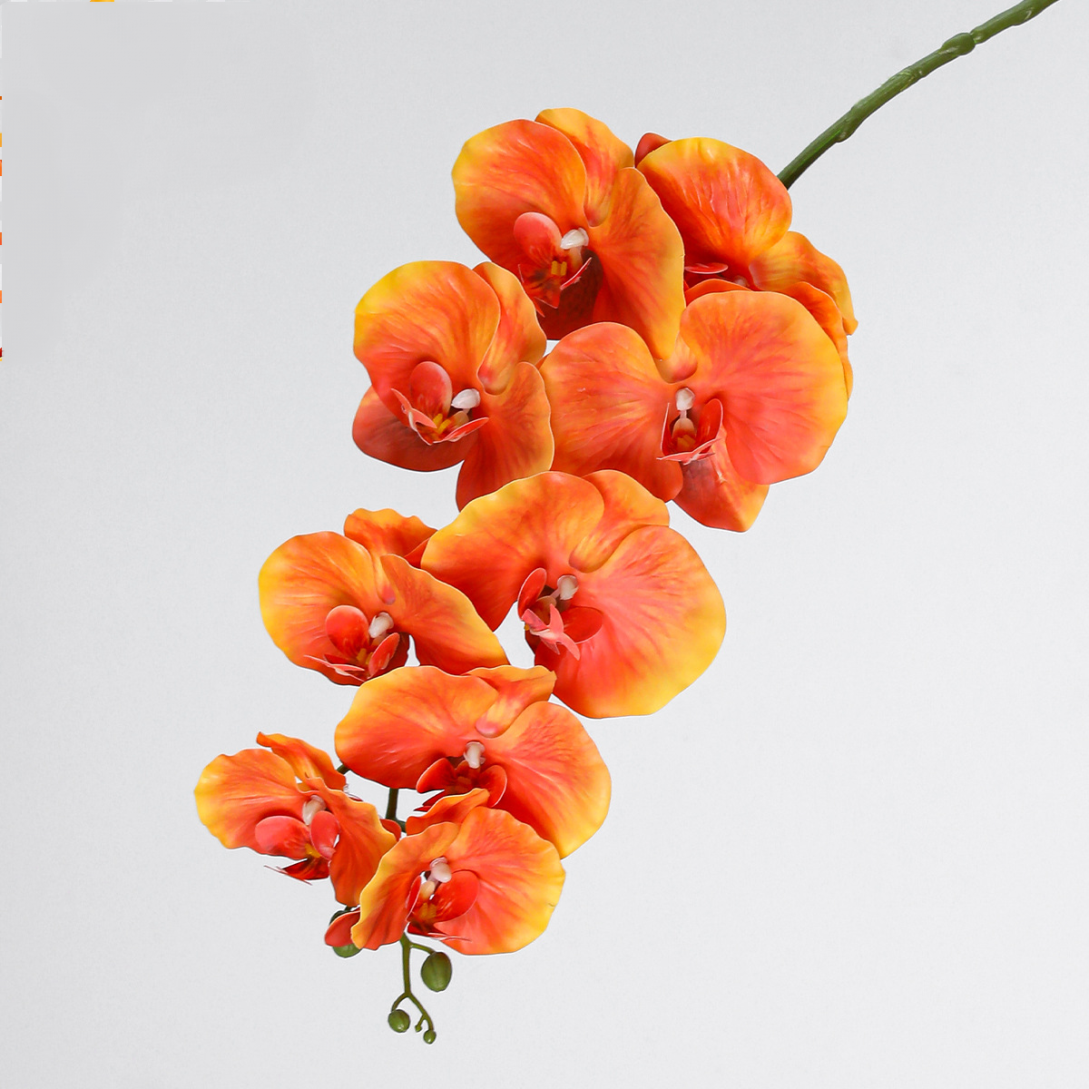 Lot de 2 Orchidées Phalaenopsis Artificielles 102cm, Grandes Tiges Florales au Toucher Réel, Décoration Vintage pour Vase, Intérieur, Mariage