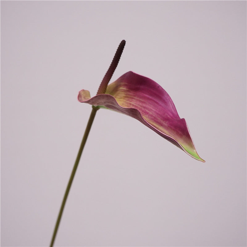 Anthurium Artificiel au Toucher Naturel, 72 cm, Grande Fleur Rouge Morandi, Tige Longue pour Vase, Décoration Maison, Mariage Champêtre, Événementiel