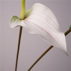 Anthurium Artificiel au Toucher Naturel, 72 cm, Grande Fleur Rouge Morandi, Tige Longue pour Vase, Décoration Maison, Mariage Champêtre, Événementiel