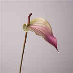 Anthurium Artificiel au Toucher Naturel, 72 cm, Grande Fleur Rouge Morandi, Tige Longue pour Vase, Décoration Maison, Mariage Champêtre, Événementiel