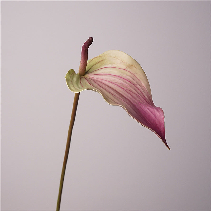 Anthurium Artificiel au Toucher Naturel, 72 cm, Grande Fleur Rouge Morandi, Tige Longue pour Vase, Décoration Maison, Mariage Champêtre, Événementiel