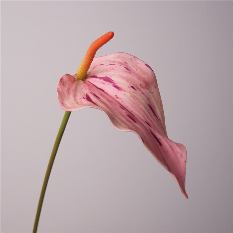 Anthurium Artificiel au Toucher Naturel, 72 cm, Grande Fleur Rouge Morandi, Tige Longue pour Vase, Décoration Maison, Mariage Champêtre, Événementiel