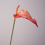 Anthurium Artificiel au Toucher Naturel, 72 cm, Grande Fleur Rouge Morandi, Tige Longue pour Vase, Décoration Maison, Mariage Champêtre, Événementiel
