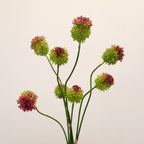 Lot de 2 Tiges d'Allium Artificiel 70 cm, Fleur d'Ail d'Ornement au Réalisme Saisissant, Décoration Champêtre Chic pour Vase, Maison, Mariage