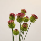 Lot de 2 Tiges d'Allium Artificiel 70 cm, Fleur d'Ail d'Ornement au Réalisme Saisissant, Décoration Champêtre Chic pour Vase, Maison, Mariage