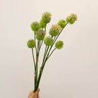 Lot de 2 Tiges d'Allium Artificiel 70 cm, Fleur d'Ail d'Ornement au Réalisme Saisissant, Décoration Champêtre Chic pour Vase, Maison, Mariage