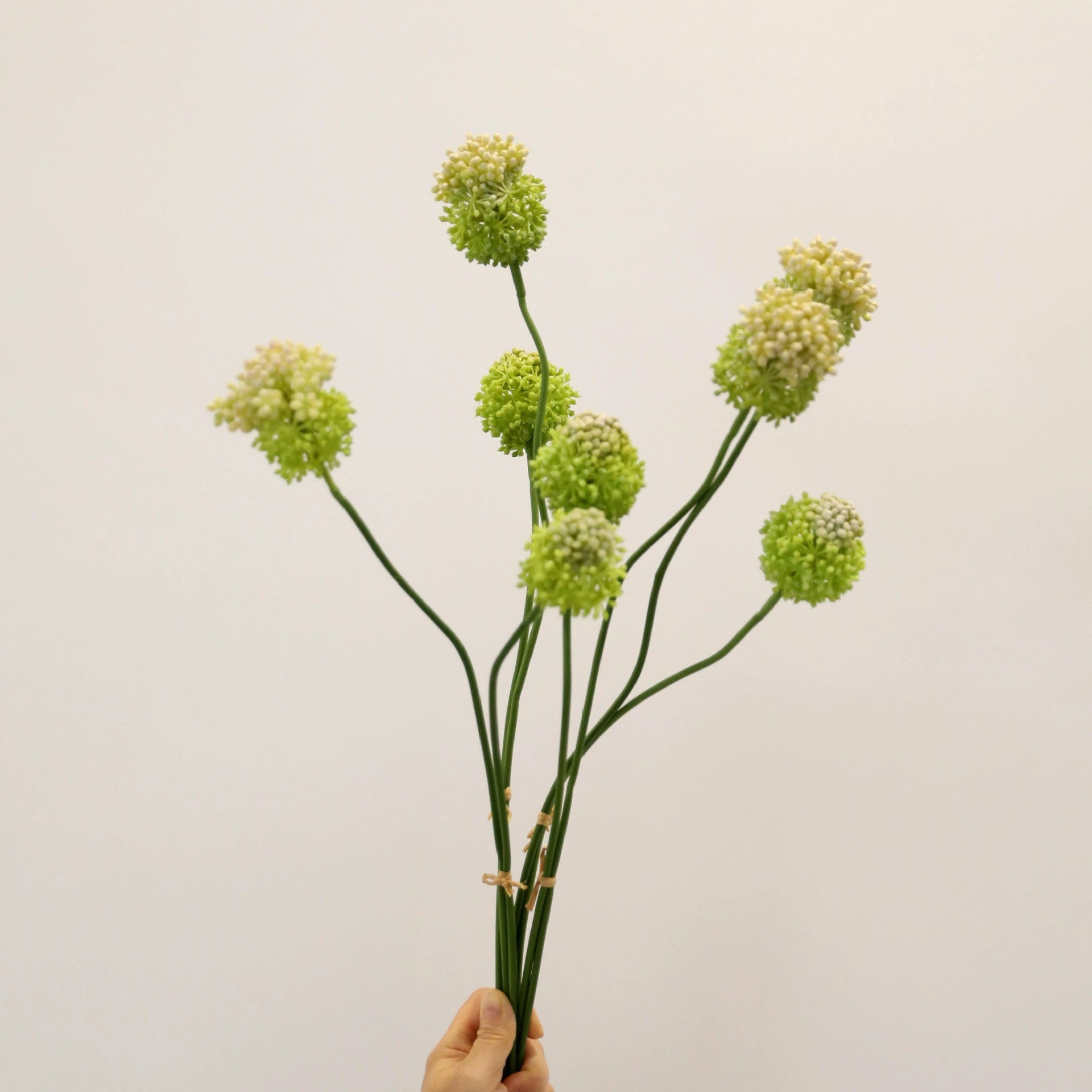 Lot de 2 Tiges d'Allium Artificiel 70 cm, Fleur d'Ail d'Ornement au Réalisme Saisissant, Décoration Champêtre Chic pour Vase, Maison, Mariage