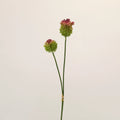 Lot de 2 Tiges d'Allium Artificiel 70 cm, Fleur d'Ail d'Ornement au Réalisme Saisissant, Décoration Champêtre Chic pour Vase, Maison, Mariage