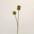 Lot de 2 Tiges d'Allium Artificiel 70 cm, Fleur d'Ail d'Ornement au Réalisme Saisissant, Décoration Champêtre Chic pour Vase, Maison, Mariage