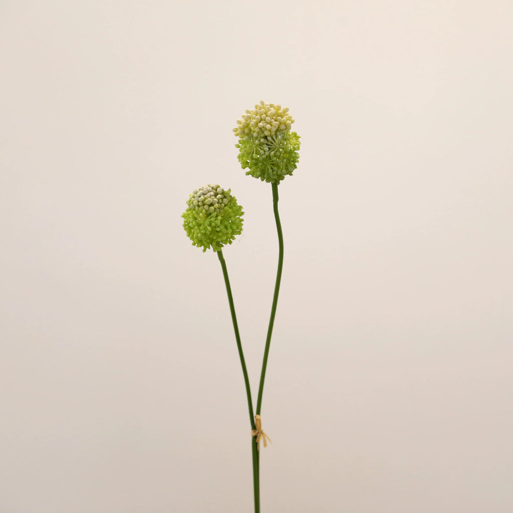 Lot de 2 Tiges d'Allium Artificiel 70 cm, Fleur d'Ail d'Ornement au Réalisme Saisissant, Décoration Champêtre Chic pour Vase, Maison, Mariage