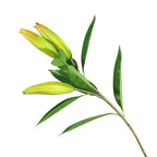 Tige de Lys Artificielle 95 cm, Grande Fleur Effet Naturel, Toucher Réel, pour Bouquet, Vase, Décoration Mariage, Style Champêtre Chic