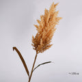 Grande Herbe de la Pampa Artificielle 100cm, Roseau Décoratif Aspect Naturel, Déco Bohème Champêtre pour Vase, Maison, Mariage