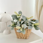 Oreille d'Ours Artificielle (Stachys), 37 cm, Tige Floquée au Réalisme Saisissant, Vert Poudré, pour Déco Champêtre, Mariage, Maison