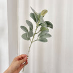 Oreille d'Ours Artificielle (Stachys), 37 cm, Tige Floquée au Réalisme Saisissant, Vert Poudré, pour Déco Champêtre, Mariage, Maison