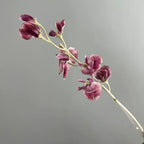 Fleurs Artificielles Pois de Senteur, Grande Tige 63 cm, Toucher Réel, Bouquet Décoratif pour Vase, Maison, Mariage Champêtre, Ambiance Rétro