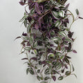 Plante Artificielle Retombante 75 cm, Guirlande Feuillage Misère Violette, Fausse Plante Suspendue Réaliste, Déco Murale Bohème, Intérieur, Mariage