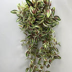 Plante Artificielle Retombante 75 cm, Guirlande Feuillage Misère Violette, Fausse Plante Suspendue Réaliste, Déco Murale Bohème, Intérieur, Mariage