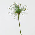 Tige de Papyrus Artificiel, Grande Fleur d'Ail Décorative 63/82cm, Aspect Naturel pour Vase, Décoration Maison, Mariage Champêtre, Style Rétro