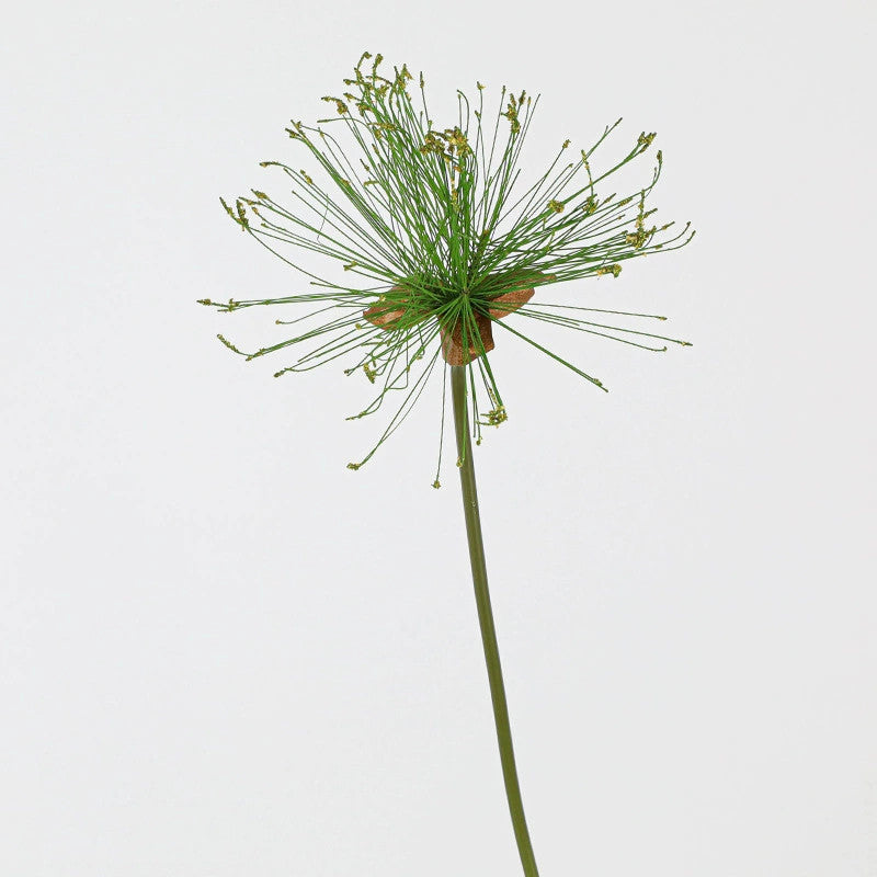 Tige de Papyrus Artificiel, Grande Fleur d'Ail Décorative 63/82cm, Aspect Naturel pour Vase, Décoration Maison, Mariage Champêtre, Style Rétro