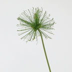 Tige de Papyrus Artificiel, Grande Fleur d'Ail Décorative 63/82cm, Aspect Naturel pour Vase, Décoration Maison, Mariage Champêtre, Style Rétro