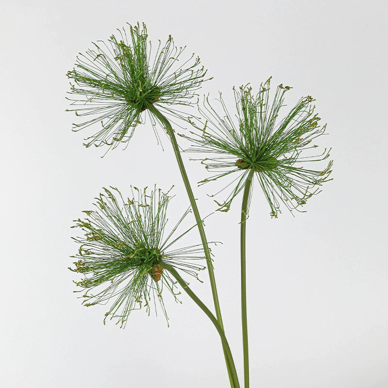 Tige de Papyrus Artificiel, Grande Fleur d'Ail Décorative 63/82cm, Aspect Naturel pour Vase, Décoration Maison, Mariage Champêtre, Style Rétro
