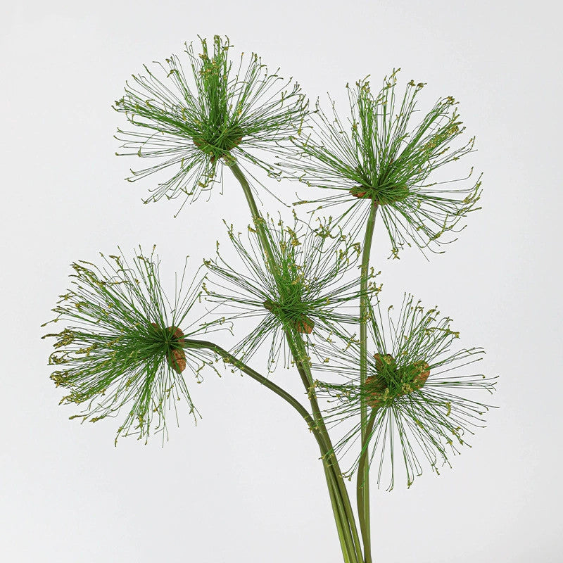 Tige de Papyrus Artificiel, Grande Fleur d'Ail Décorative 63/82cm, Aspect Naturel pour Vase, Décoration Maison, Mariage Champêtre, Style Rétro