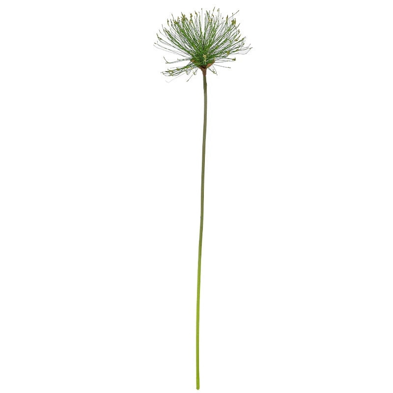 Tige de Papyrus Artificiel, Grande Fleur d'Ail Décorative 63/82cm, Aspect Naturel pour Vase, Décoration Maison, Mariage Champêtre, Style Rétro