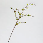 Branche de Ricin Artificielle 100cm, Grande Tige Décorative Aspect Naturel, Fausse Plante Champêtre pour Vase, Décor Maison, Mariage Bohème