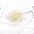 Branche Feuille Artificielle Givrée 15 cm, Tige Succulente Poudrée, Déco Mariage Champêtre, DIY, Loisirs Créatifs, Ambiance Vintage