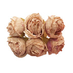 Bouquet de 6 Petites Roses Anciennes 10 cm, Charme Rétro et Champêtre, pour DIY Mariage, Décoration et Corsage