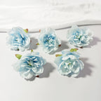 Têtes de Nénuphar Artificiel 7cm, Lot de 10, Pivoine en Soie au Toucher Réel, pour DIY Mariage, Décoration Murale, Charme Champêtre