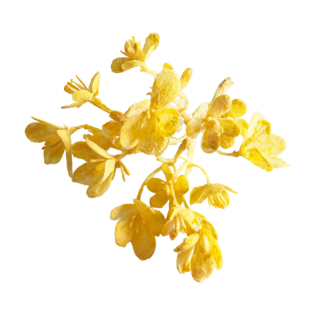 Feuillage Givré Artificiel 16,5 cm, Brindille Décorative Aspect Naturel pour DIY Mariage, Couronne, Déco Bohème, Emballage Cadeau