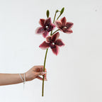 Branche Orchidée Cymbidium Artificielle 55 cm, 3 Fleurs au Réalisme Saisissant, Tige pour Bouquet, Vase, Décoration d'Intérieur, Mariage Chic et Champêtre