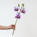 Branche Orchidée Cymbidium Artificielle 55 cm, 3 Fleurs au Réalisme Saisissant, Tige pour Bouquet, Vase, Décoration d'Intérieur, Mariage Chic et Champêtre