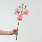 Branche Orchidée Cymbidium Artificielle 55 cm, 3 Fleurs au Réalisme Saisissant, Tige pour Bouquet, Vase, Décoration d'Intérieur, Mariage Chic et Champêtre