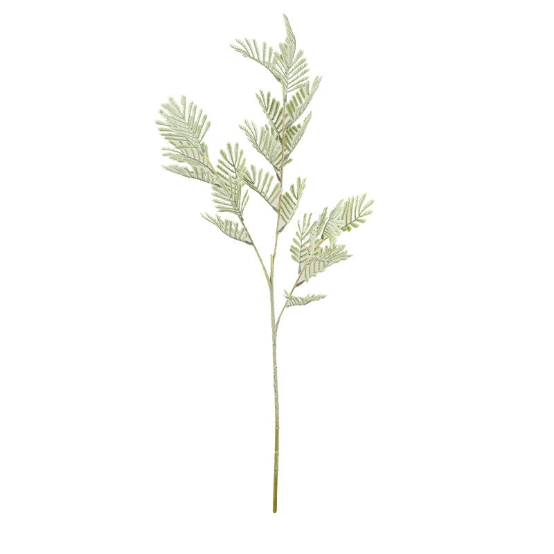 Plante artificielle Mimosa 75 cm, effet naturel, vert grisâtre, décoration intérieure, mariage, terrasse, café
