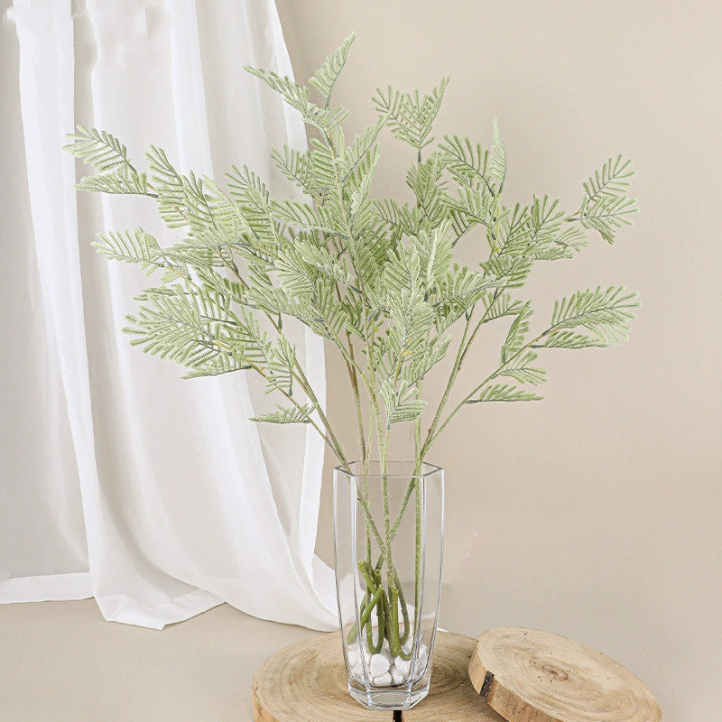 Plante artificielle Mimosa 75 cm, effet naturel, vert grisâtre, décoration intérieure, mariage, terrasse, café