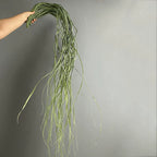 Faux Plantes Vertes en Lot de 2, 190 cm, Éléments de Décoration Évocateurs pour Mariage, Intérieur, Extérieur, Style Champêtre