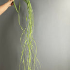 Faux Plantes Vertes en Lot de 2, 190 cm, Éléments de Décoration Évocateurs pour Mariage, Intérieur, Extérieur, Style Champêtre
