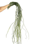 Faux Plantes Vertes en Lot de 2, 190 cm, Éléments de Décoration Évocateurs pour Mariage, Intérieur, Extérieur, Style Champêtre