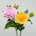 Fleur artificielle pivoine, tige unique, 67 cm, décoration élégante, mariage, maison, cadeau