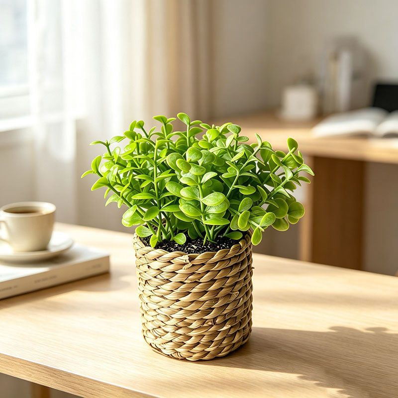 Plante artificielle en pot, 15 cm, décoration maison, bureau, hôtel, style rétro français, vert foncé ou clair
