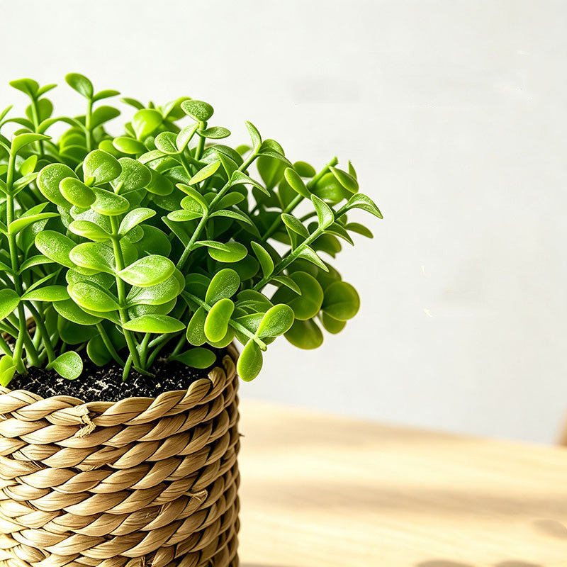 Plante artificielle en pot, 15 cm, décoration maison, bureau, hôtel, style rétro français, vert foncé ou clair