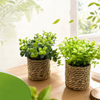 Plante artificielle en pot, 15 cm, décoration maison, bureau, hôtel, style rétro français, vert foncé ou clair