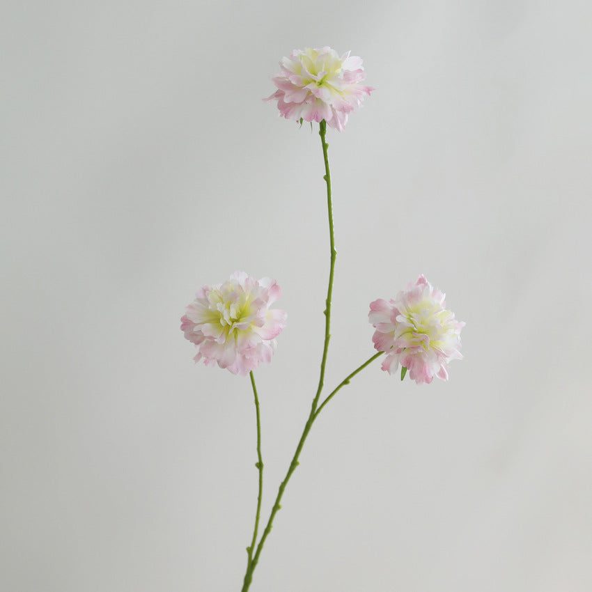 Fleurs artificielles Scabieuse, bouquet de 3 têtes, 80 cm, soie, décoration intérieure, mariage, maison