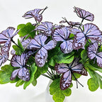 Fleurs artificielles Iris, bouquet de 5 tiges, 29 cm, idéal pour mariages, décoration d'intérieur, style bohème chic