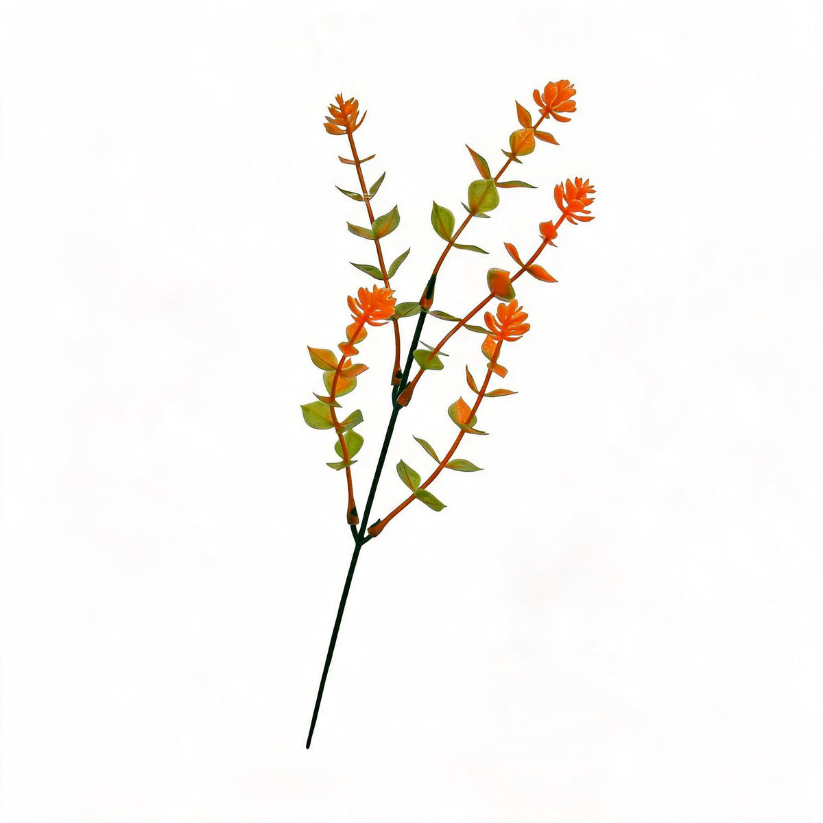 Fleurs artificielles Eucalyptus, 10 tiges de 32 cm, décoration intérieure élégante, style provençal, sans entretien